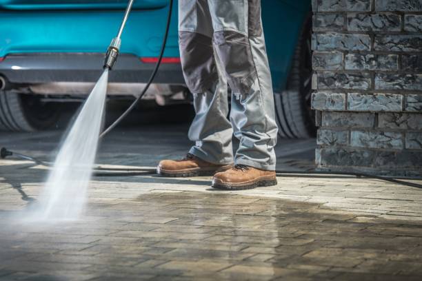 Best Dumpster Area Cleaning  in Viroqua, WI